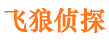 秀峰市侦探调查公司